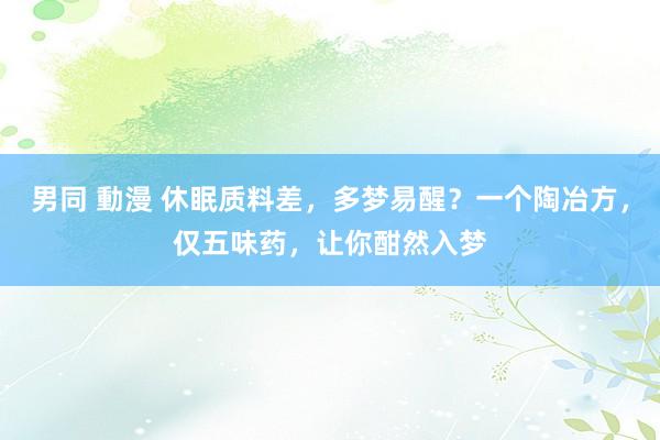 男同 動漫 休眠质料差，多梦易醒？一个陶冶方，仅五味药，让你酣然入梦