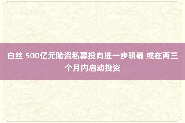 白丝 500亿元险资私募投向进一步明确 或在两三个月内启动投资