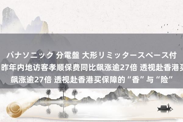 パナソニック 分電盤 大形リミッタースペース付 露出・半埋込両用形 昨年内地访客孝顺保费同比飙涨逾27倍 透视赴香港买保障的“香”与“险”