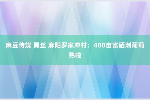 麻豆传媒 黑丝 麻阳罗家冲村：400亩富硒刺葡萄熟啦