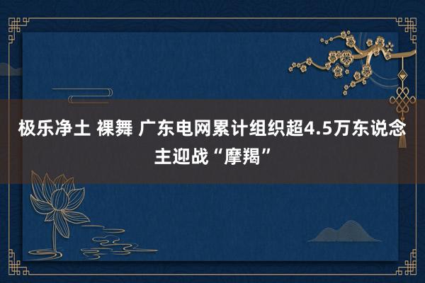 极乐净土 裸舞 广东电网累计组织超4.5万东说念主迎战“摩羯”