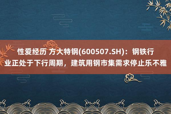 性爱经历 方大特钢(600507.SH)：钢铁行业正处于下行周期，建筑用钢市集需求停止乐不雅