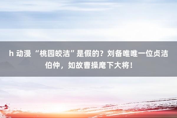 h 动漫 “桃园皎洁”是假的？刘备唯唯一位贞洁伯仲，如故曹操麾下大将！