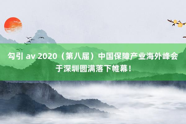 勾引 av 2020（第八届）中国保障产业海外峰会于深圳圆满落下帷幕！