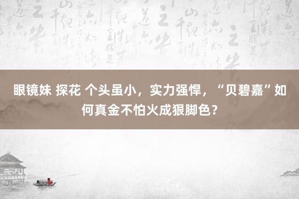 眼镜妹 探花 个头虽小，实力强悍，“贝碧嘉”如何真金不怕火成狠脚色？