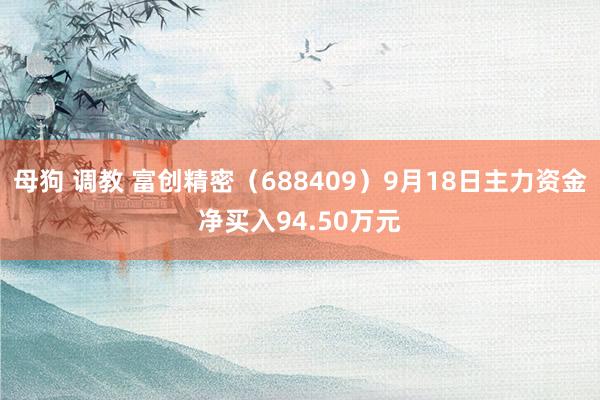 母狗 调教 富创精密（688409）9月18日主力资金净买入94.50万元