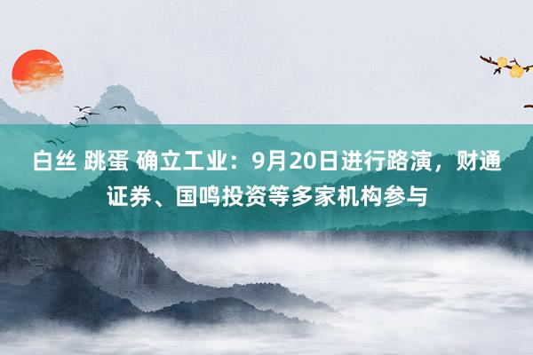 白丝 跳蛋 确立工业：9月20日进行路演，财通证券、国鸣投资等多家机构参与