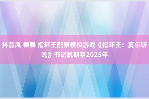 抖音风 裸舞 指环王配景模拟游戏《指环王：夏尔听说》书记脱期至2025年