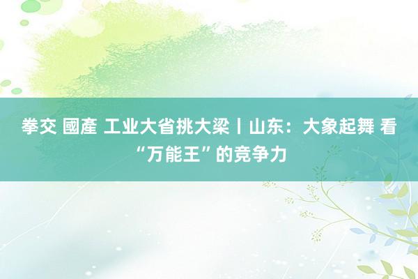 拳交 國產 工业大省挑大梁丨山东：大象起舞 看“万能王”的竞争力