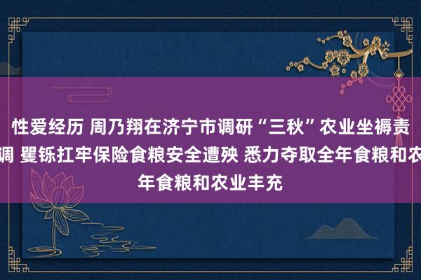 性爱经历 周乃翔在济宁市调研“三秋”农业坐褥责任时强调 矍铄扛牢保险食粮安全遭殃 悉力夺取全年食粮和农业丰充