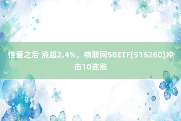 性爱之后 涨超2.4%，物联网50ETF(516260)冲击10连涨