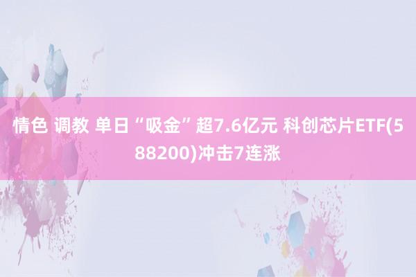 情色 调教 单日“吸金”超7.6亿元 科创芯片ETF(588200)冲击7连涨