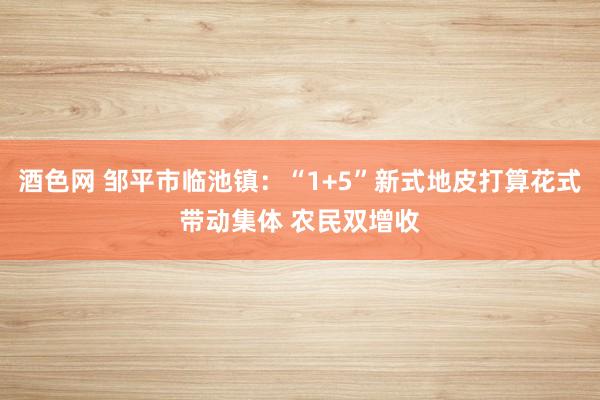 酒色网 邹平市临池镇：“1+5”新式地皮打算花式带动集体 农民双增收