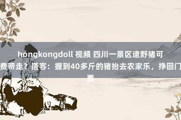 hongkongdoll 视频 四川一景区逮野猪可免费带走？搭客：握到40多斤的猪抬去农家乐，挣回门票