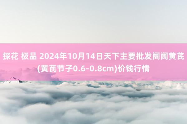 探花 极品 2024年10月14日天下主要批发阛阓黄芪(黄芪节子0.6-0.8cm)价钱行情