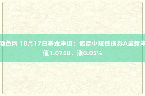 酒色网 10月17日基金净值：诺德中短债债券A最新净值1.0758，涨0.05%