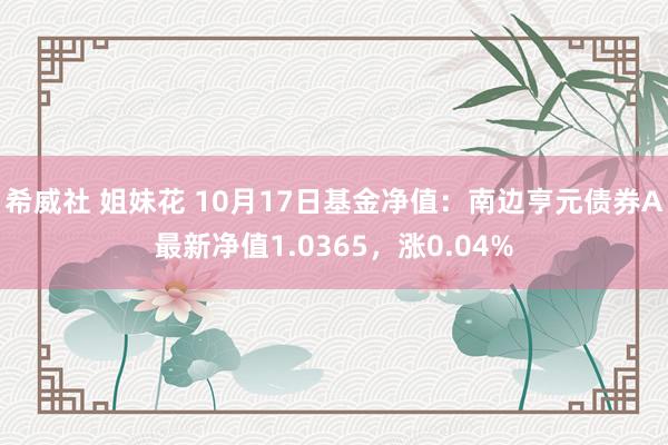 希威社 姐妹花 10月17日基金净值：南边亨元债券A最新净值1.0365，涨0.04%