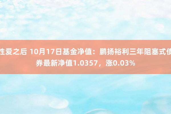 性爱之后 10月17日基金净值：鹏扬裕利三年阻塞式债券最新净值1.0357，涨0.03%