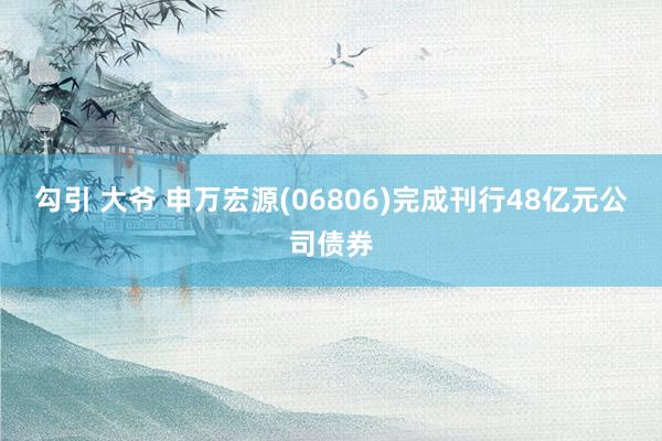 勾引 大爷 申万宏源(06806)完成刊行48亿元公司债券