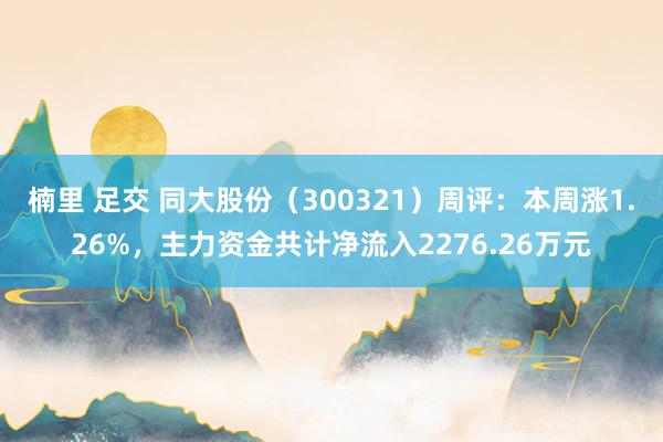 楠里 足交 同大股份（300321）周评：本周涨1.26%，主力资金共计净流入2276.26万元