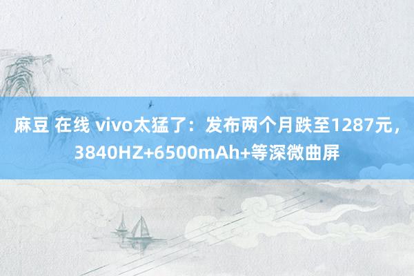 麻豆 在线 vivo太猛了：发布两个月跌至1287元，3840HZ+6500mAh+等深微曲屏