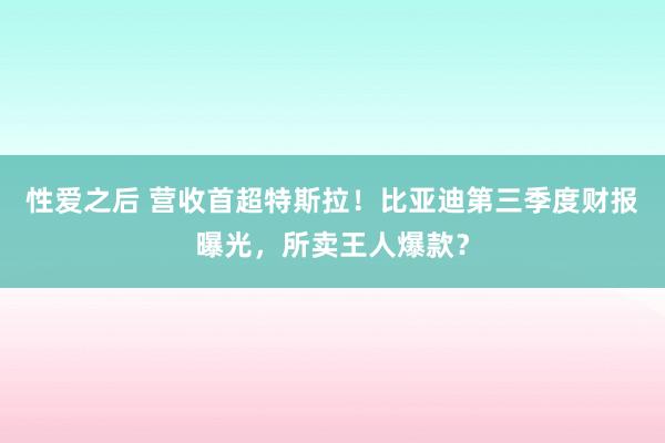 性爱之后 营收首超特斯拉！比亚迪第三季度财报曝光，所卖王人爆款？