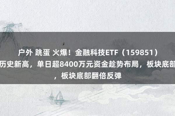 户外 跳蛋 火爆！金融科技ETF（159851）又双叒创历史新高，单日超8400万元资金趁势布局，板块底部翻倍反弹