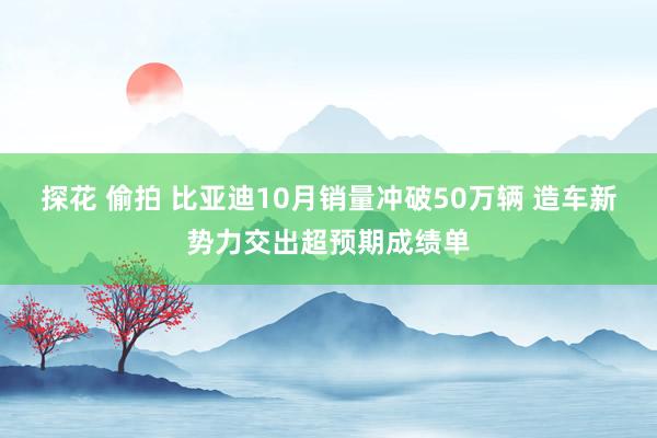 探花 偷拍 比亚迪10月销量冲破50万辆 造车新势力交出超预期成绩单