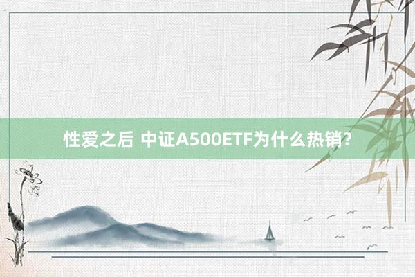 性爱之后 中证A500ETF为什么热销？