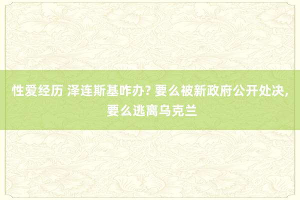 性爱经历 泽连斯基咋办? 要么被新政府公开处决， 要么逃离乌克兰