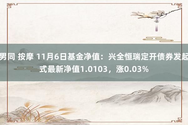 男同 按摩 11月6日基金净值：兴全恒瑞定开债券发起式最新净值1.0103，涨0.03%