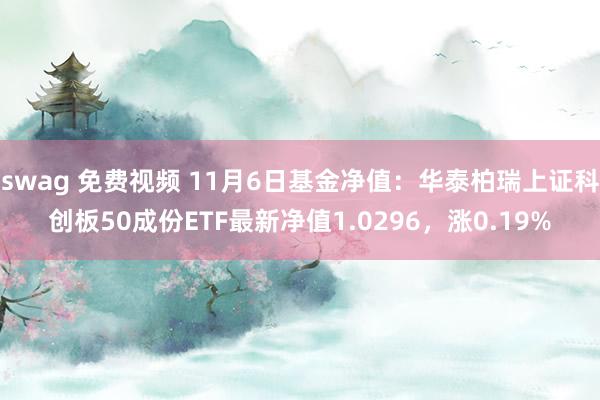 swag 免费视频 11月6日基金净值：华泰柏瑞上证科创板50成份ETF最新净值1.0296，涨0.19%