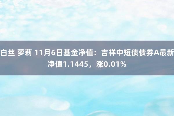 白丝 萝莉 11月6日基金净值：吉祥中短债债券A最新净值1.1445，涨0.01%