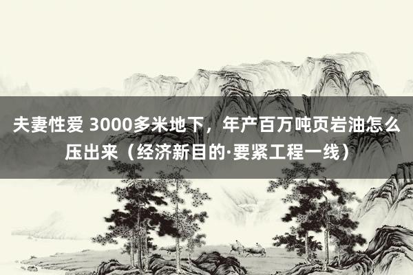 夫妻性爱 3000多米地下，年产百万吨页岩油怎么压出来（经济新目的·要紧工程一线）