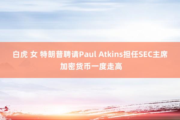 白虎 女 特朗普聘请Paul Atkins担任SEC主席 加密货币一度走高