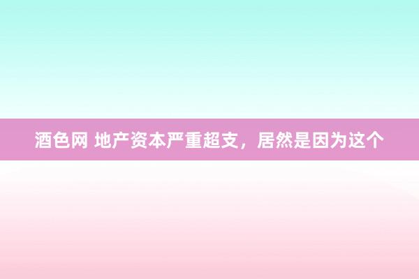 酒色网 地产资本严重超支，居然是因为这个