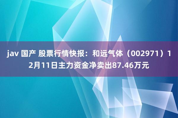 jav 国产 股票行情快报：和远气体（002971）12月11日主力资金净卖出87.46万元