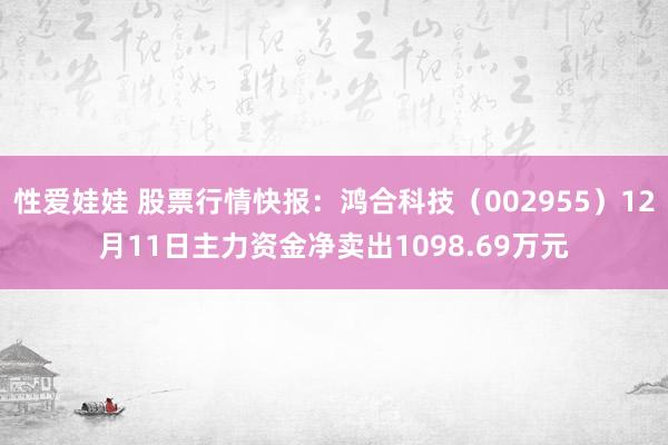 性爱娃娃 股票行情快报：鸿合科技（002955）12月11日主力资金净卖出1098.69万元