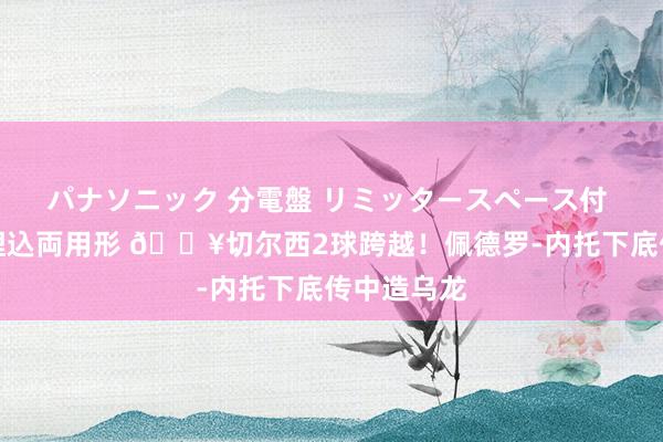 パナソニック 分電盤 リミッタースペース付 露出・半埋込両用形 🔥切尔西2球跨越！佩德罗-内托下底传中造乌龙