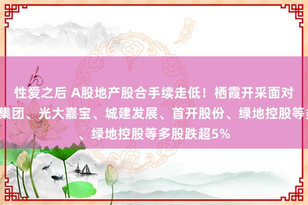 性爱之后 A股地产股合手续走低！栖霞开采面对跌停，金地集团、光大嘉宝、城建发展、首开股份、绿地控股等多股跌超5%