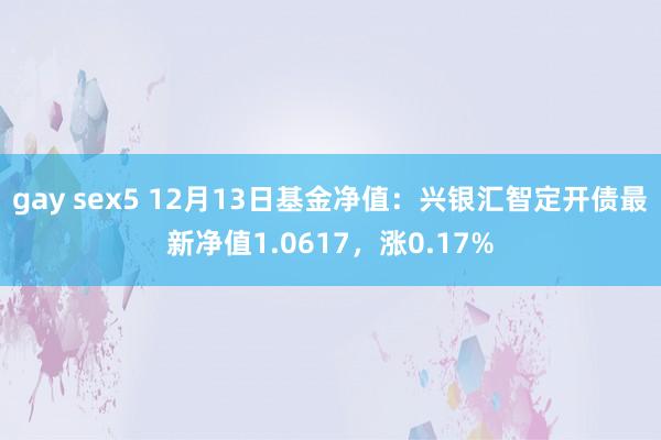 gay sex5 12月13日基金净值：兴银汇智定开债最新净值1.0617，涨0.17%