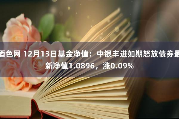 酒色网 12月13日基金净值：中银丰进如期怒放债券最新净值1.0896，涨0.09%