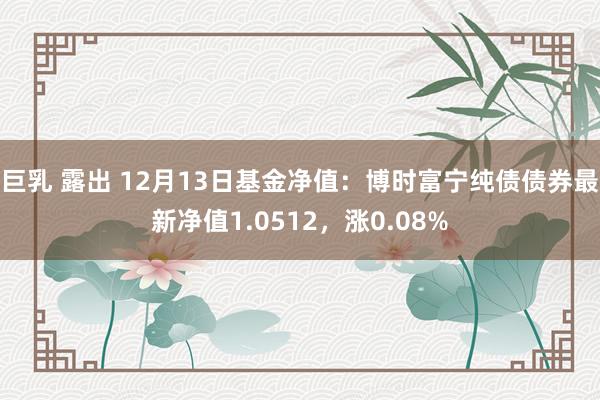 巨乳 露出 12月13日基金净值：博时富宁纯债债券最新净值1.0512，涨0.08%