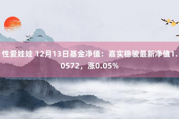 性爱娃娃 12月13日基金净值：嘉实稳骏最新净值1.0572，涨0.05%