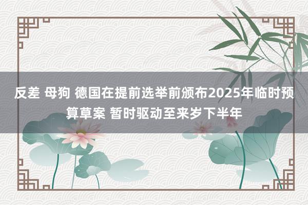 反差 母狗 德国在提前选举前颁布2025年临时预算草案 暂时驱动至来岁下半年