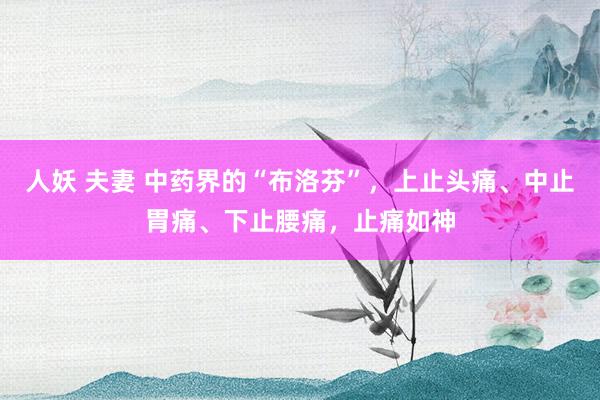 人妖 夫妻 中药界的“布洛芬”，上止头痛、中止胃痛、下止腰痛，止痛如神