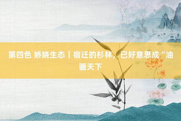 第四色 娇娆生态｜宿迁的杉林，已好意思成“油画天下