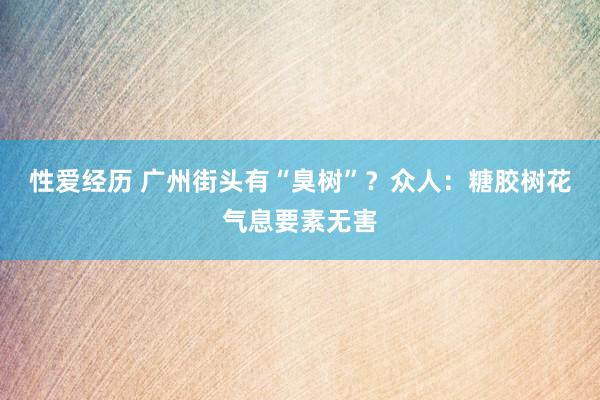 性爱经历 广州街头有“臭树”？众人：糖胶树花气息要素无害