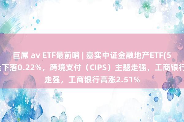 巨屌 av ETF最前哨 | 嘉实中证金融地产ETF(512640)早盘下落0.22%，跨境支付（CIPS）主题走强，工商银行高涨2.51%