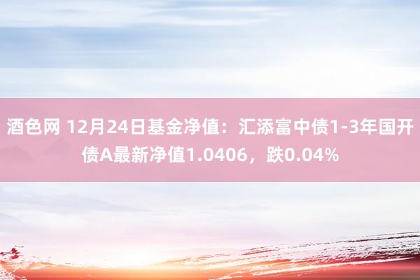 酒色网 12月24日基金净值：汇添富中债1-3年国开债A最新净值1.0406，跌0.04%